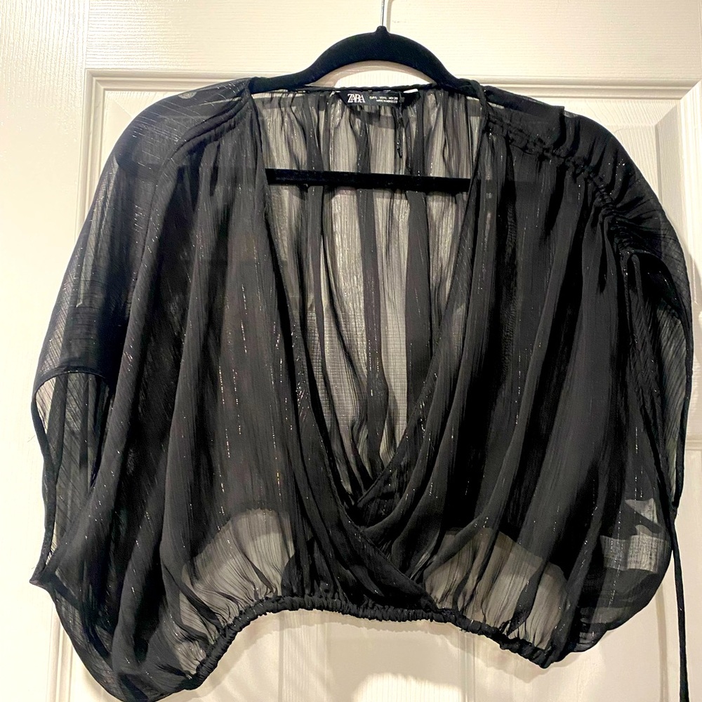 Zara sheer blouse